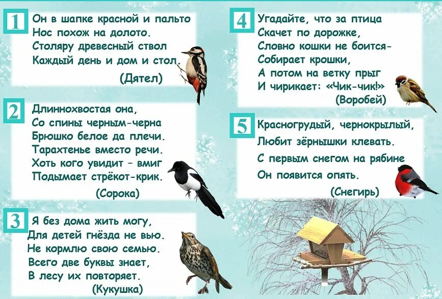 Загадка про птицу для детей 6-7 лет. Загадки про птиц. Загадка про птичку для детей. Загадка про птичку. Птицы рассказы загадки.