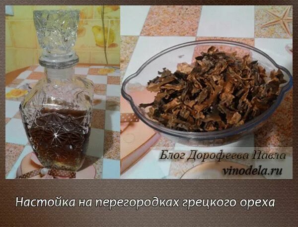 Перегородки грецкого ореха настойка на самогоне. Настойка на перегородках грецких орехов.