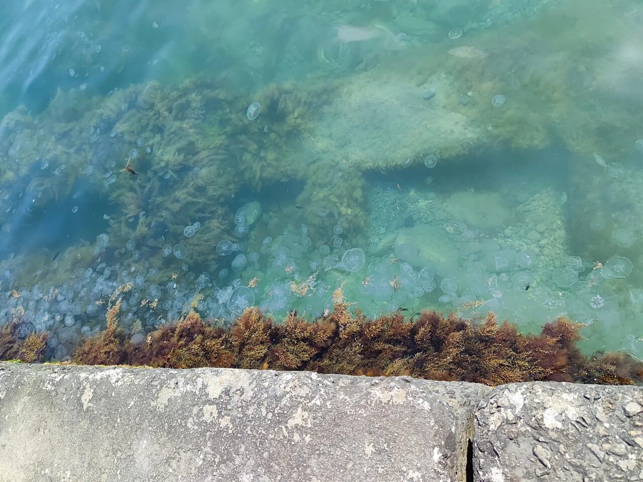 Вода в море прогревается. Крым под водой. крым море 2025. ялта вода в море. вода в сочи.
