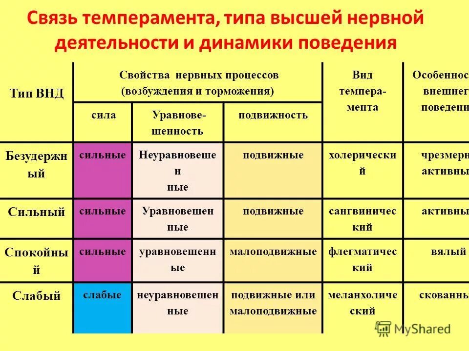Определить тип основы. Типы высшей нервной деятельности внд. типы внд и темперамент. тип темперамента и тип высшей нервной деятельности. холерик тип нервной деятельности.