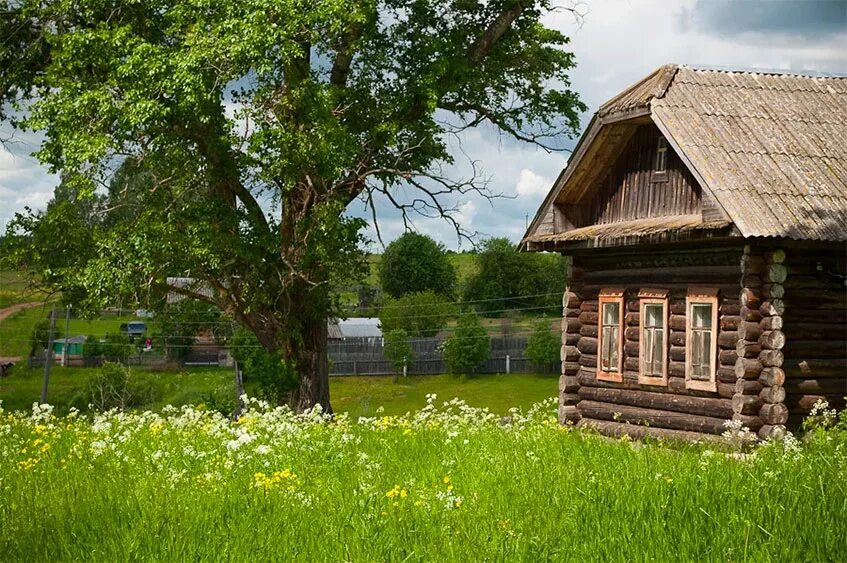 Про русские деревни. Есенин ветхая Избёнка. Деревенская Избенка Есенин. Деревня деревенька Тверская область. Изба деревня деревня лето.