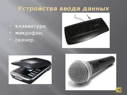 Отметь устройства ввода микрофон монитор наушники сканер