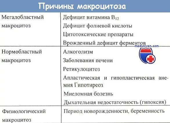 Микроцитоз в общем анализе что это. Микроцитоз в общем анализе что это