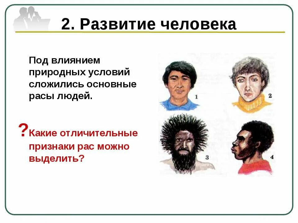 Эволюция человеческой расы. Расы людей. Расы человечества. Человеческие расы. Основные расы.