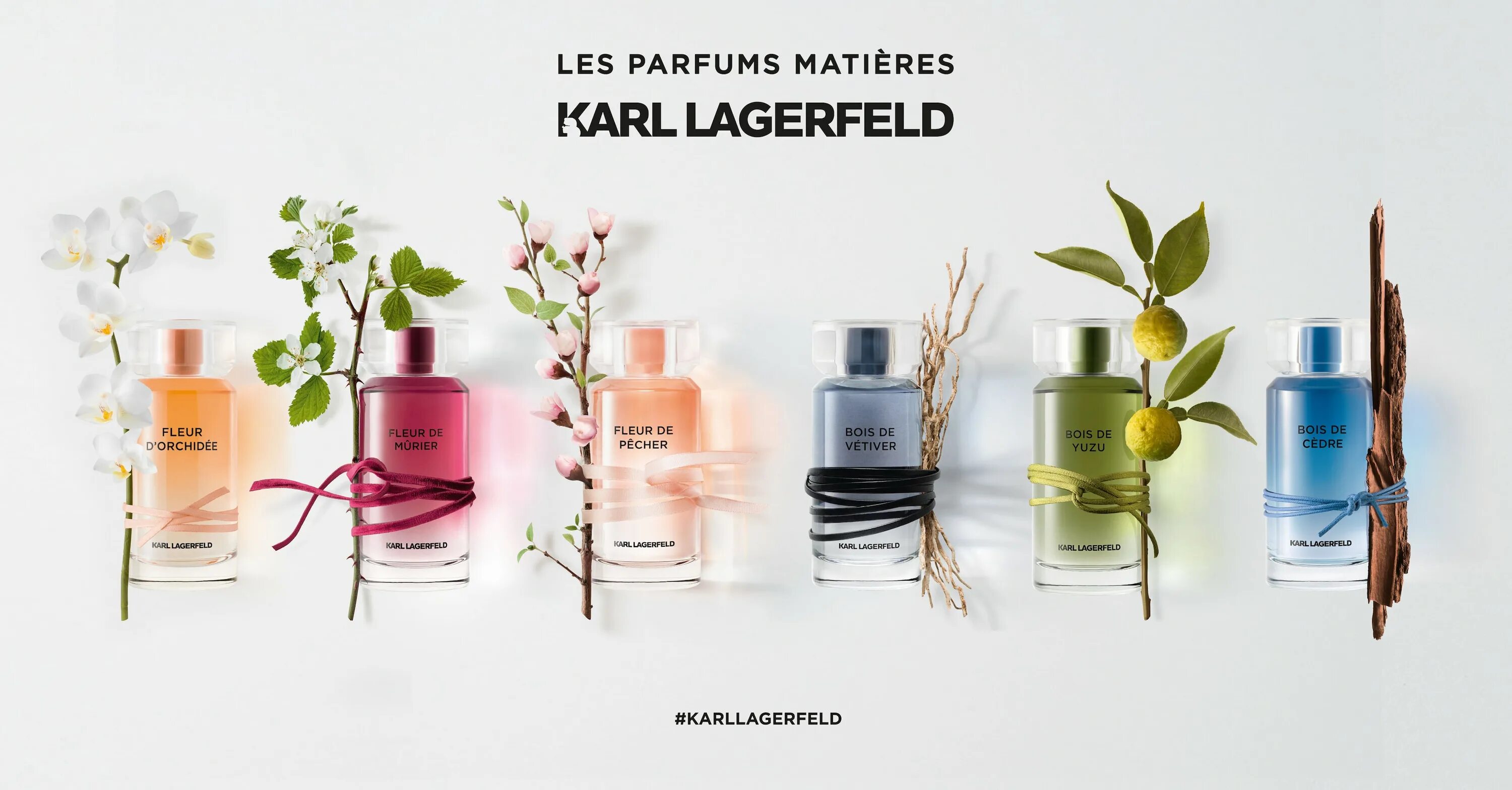 Karl Lagerfeld fleur d'Orchidee. Fleur d'Orchidee Karl Lagerfeld 50 мл. Karl Lagerfeld fleur de Murier [w] EDP - 100ml. Karl Lagerfeld Fragrance. Bois yuzu