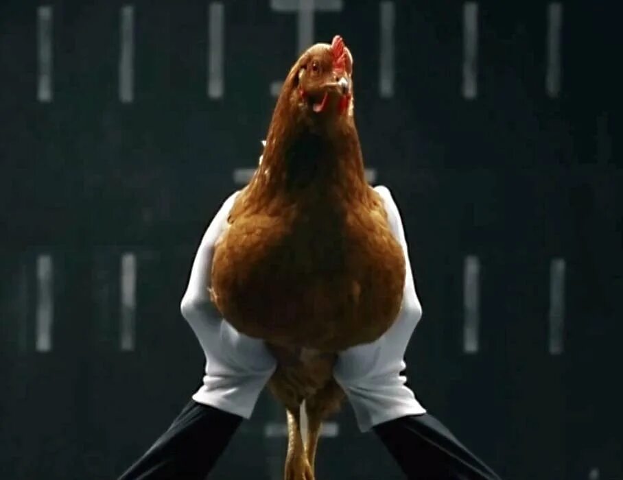 Курица анимация. Бешеная курица. Курица танцует. Гифки курица.