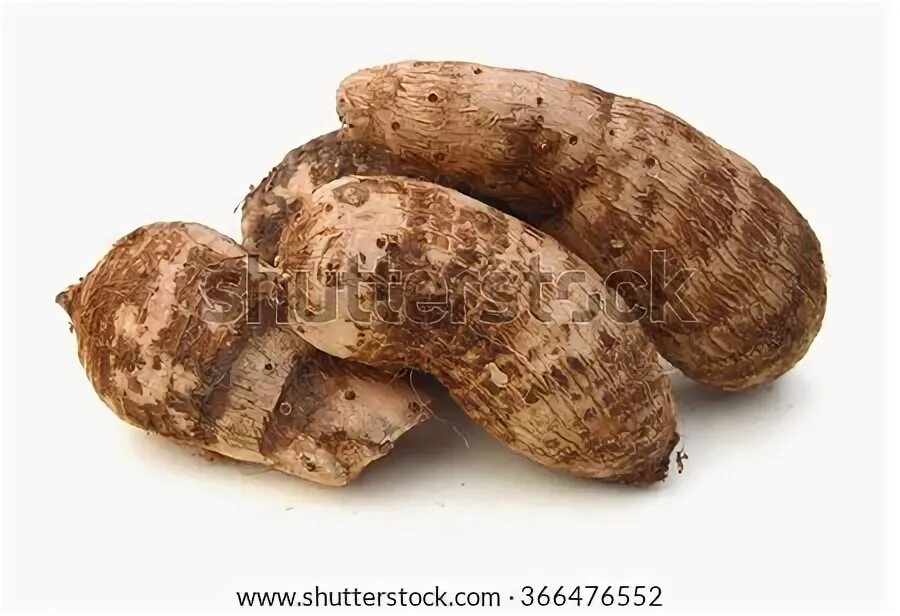 Coco root