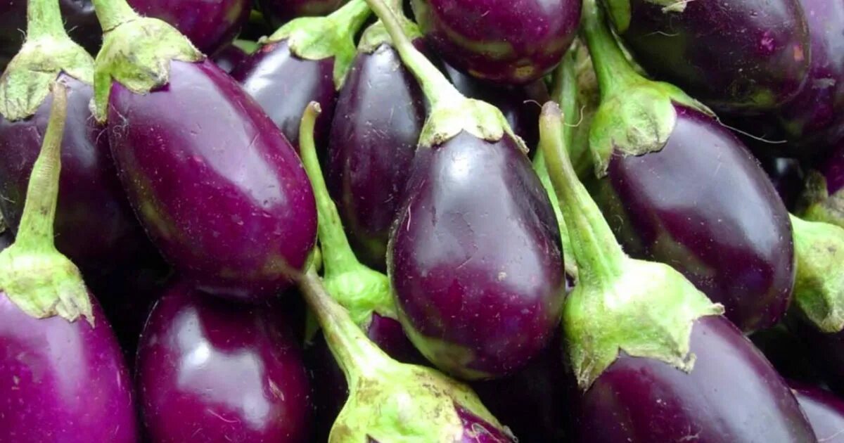 черничный цвет в интерьере. сочетание с фиолетовым. баклажан королева марго. сочетание цветов с баклажановым. сочетание баклажана.