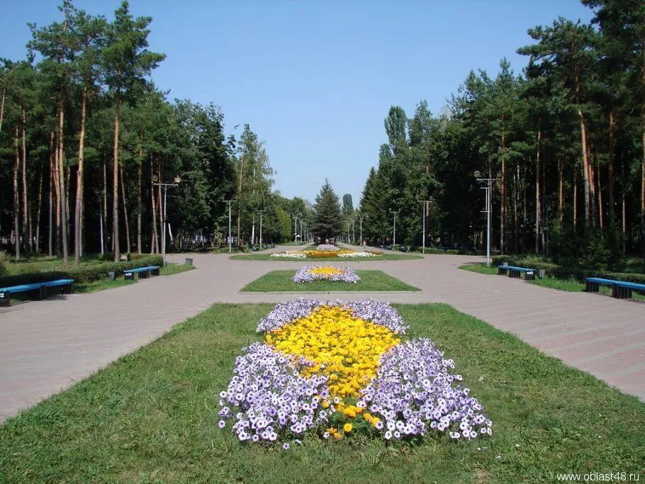 парки липецка фото. парки липецка фото. парки липецка фото. парки липецка фото. парк победы липецк новый.
