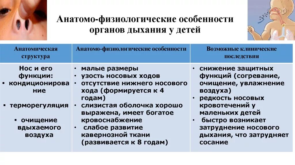 Анатомо физиологическая система. Афо дыхательной системы новорожденного. Анатомо-физиологические особенности органов дыхания у детей. Афо органов дыхания у детей. Анатомо функциональные особенности дыхательной системы.