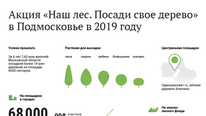 Сажать деревья в Подмосковье. Сколько деревьев в России. Сколько сажают деревьев в год в России. Сколько деревьев посажено в мире.