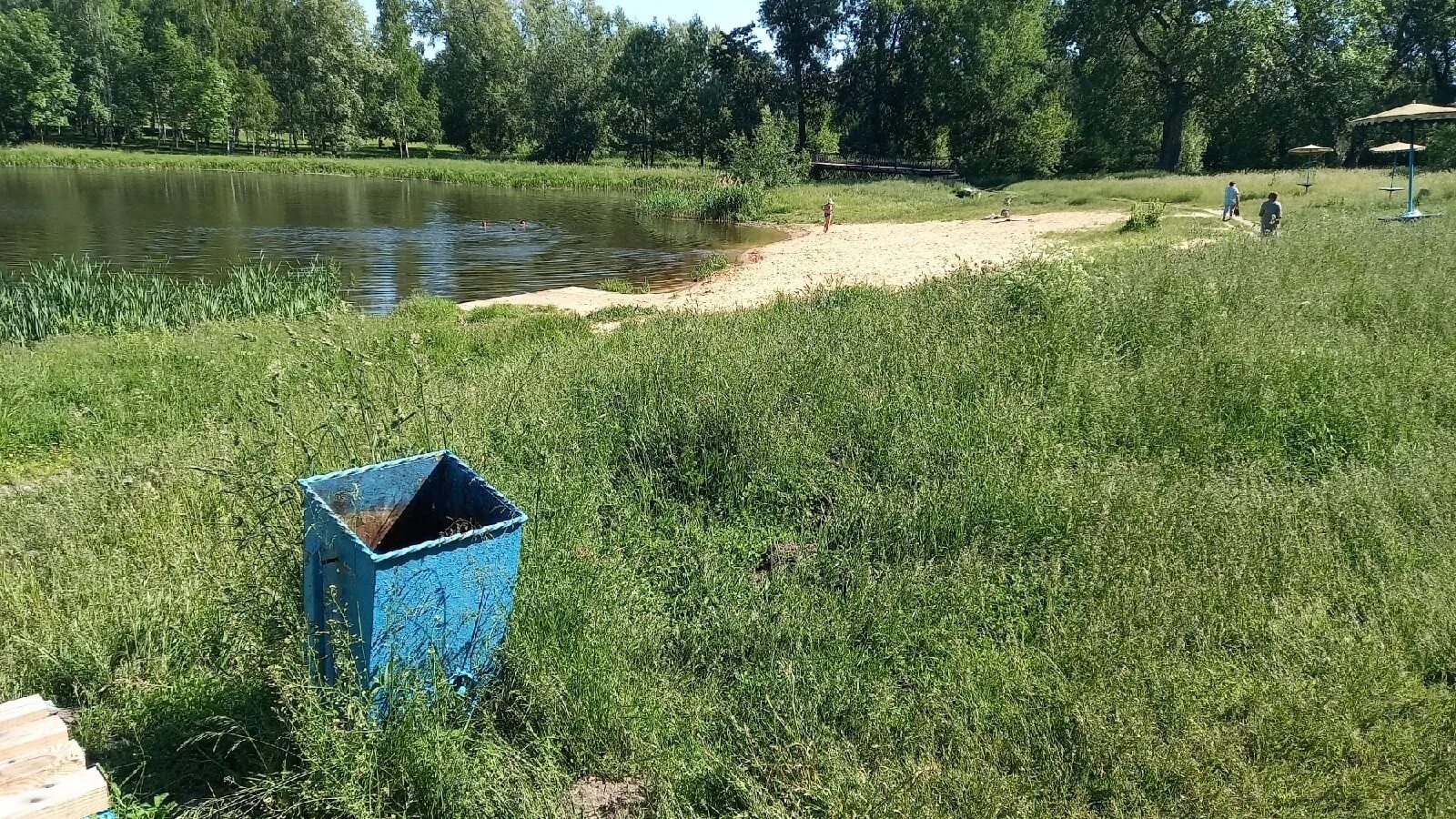 В Новозыбкове водолазы обследовали дно озера Карна * Новозыбков.SU