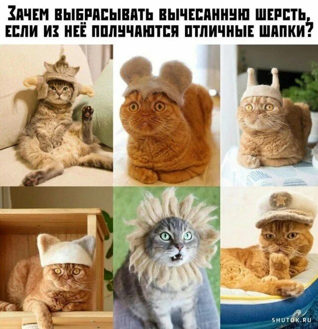 Смешные лайфхаки. Мемы про лайфхаки. Лайфхаки мемы. Лайфхаки мемы. Мемы про лайфхаки.