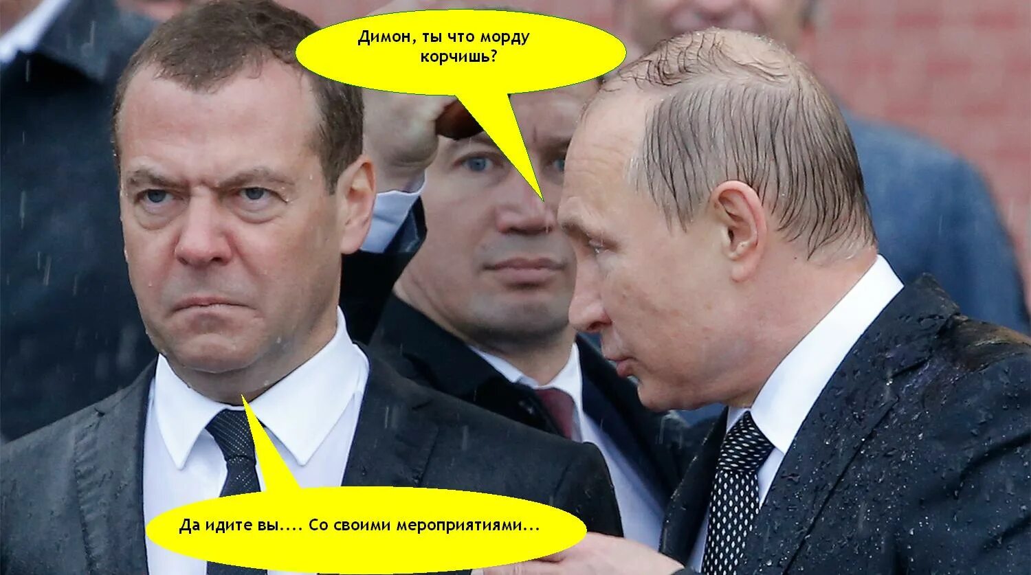 Почему димон. Почему димон. Димон димон. Дмитрий медведев 2021. Путин и медведь под дождем.