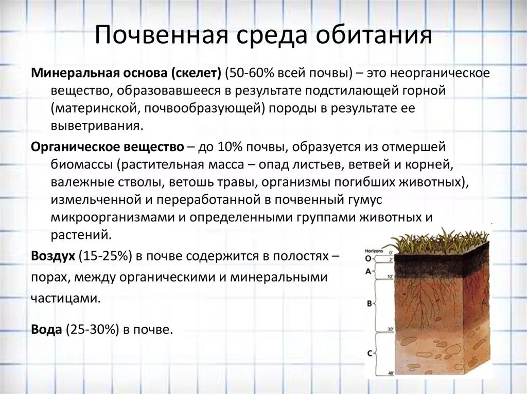 Характеристика почвенной среды обитания биология. Почвенная среда обитания состав. Свойства почвы как среды жизни. Починная среда обитания. Почвенная среда.