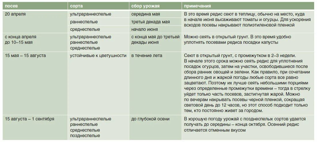 Срок редиски. Срок посева редиски. Сроки посадки редиса. Сроки посева, посадки и сбора урожая. Сроки высевания редис.