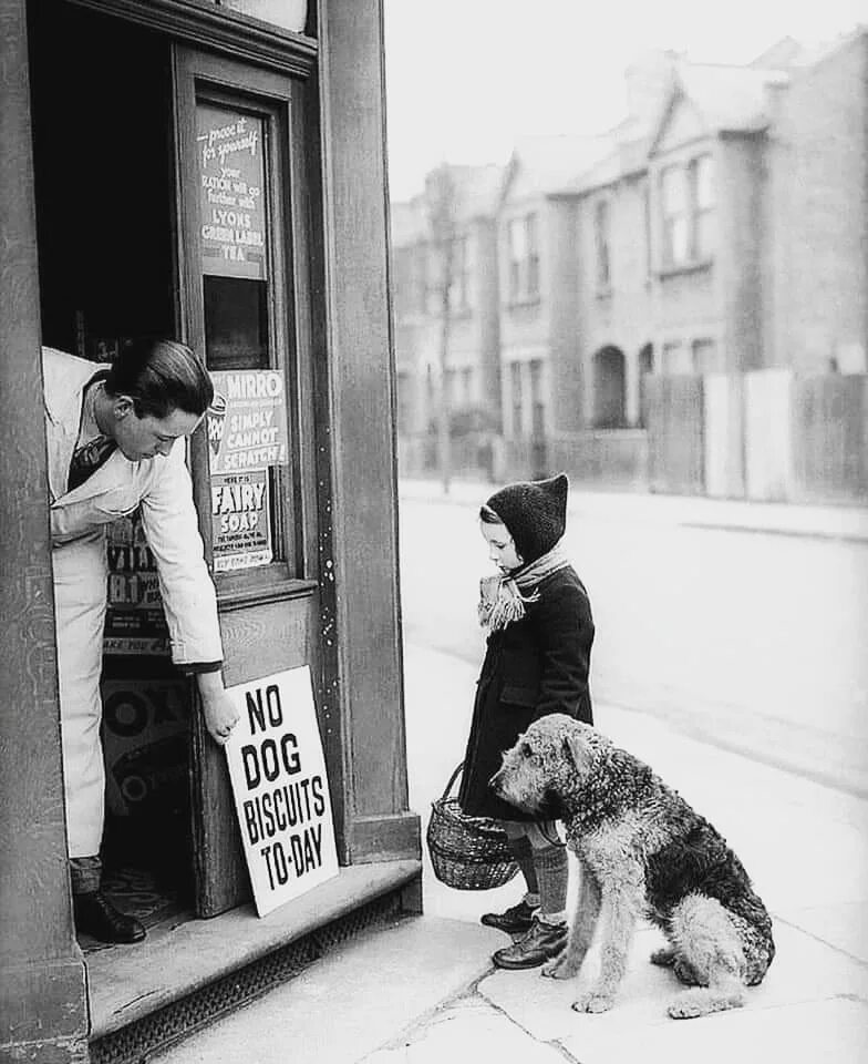 Вивиан Майер собачка. Собаки в Лондоне. Лондон 1939.