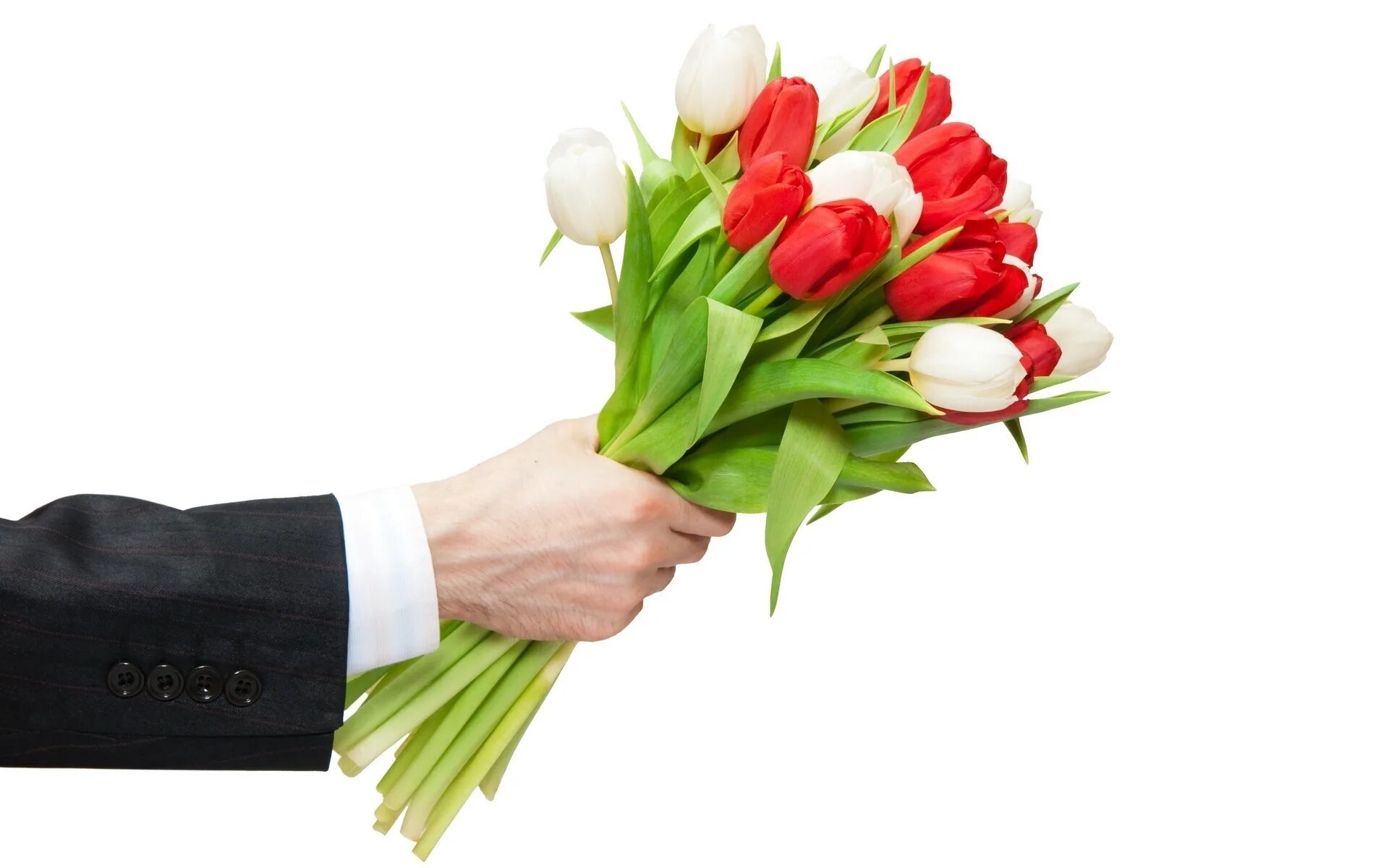 Сколько тюльпанов надо дарить. Цветы букет. Букет в руках. Букет без фона. Букет цветов в мужских руках.
