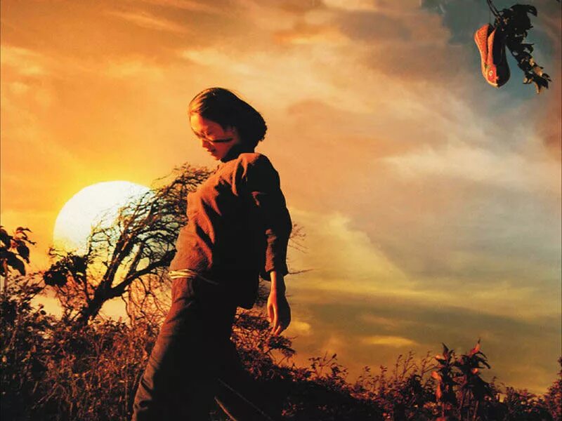 фиеста хемингуэй экранизация. книга кот решил тебя прикончить. фиеста хемингуэй иллюстрации. Fiesta the sun also rises. Sun also.