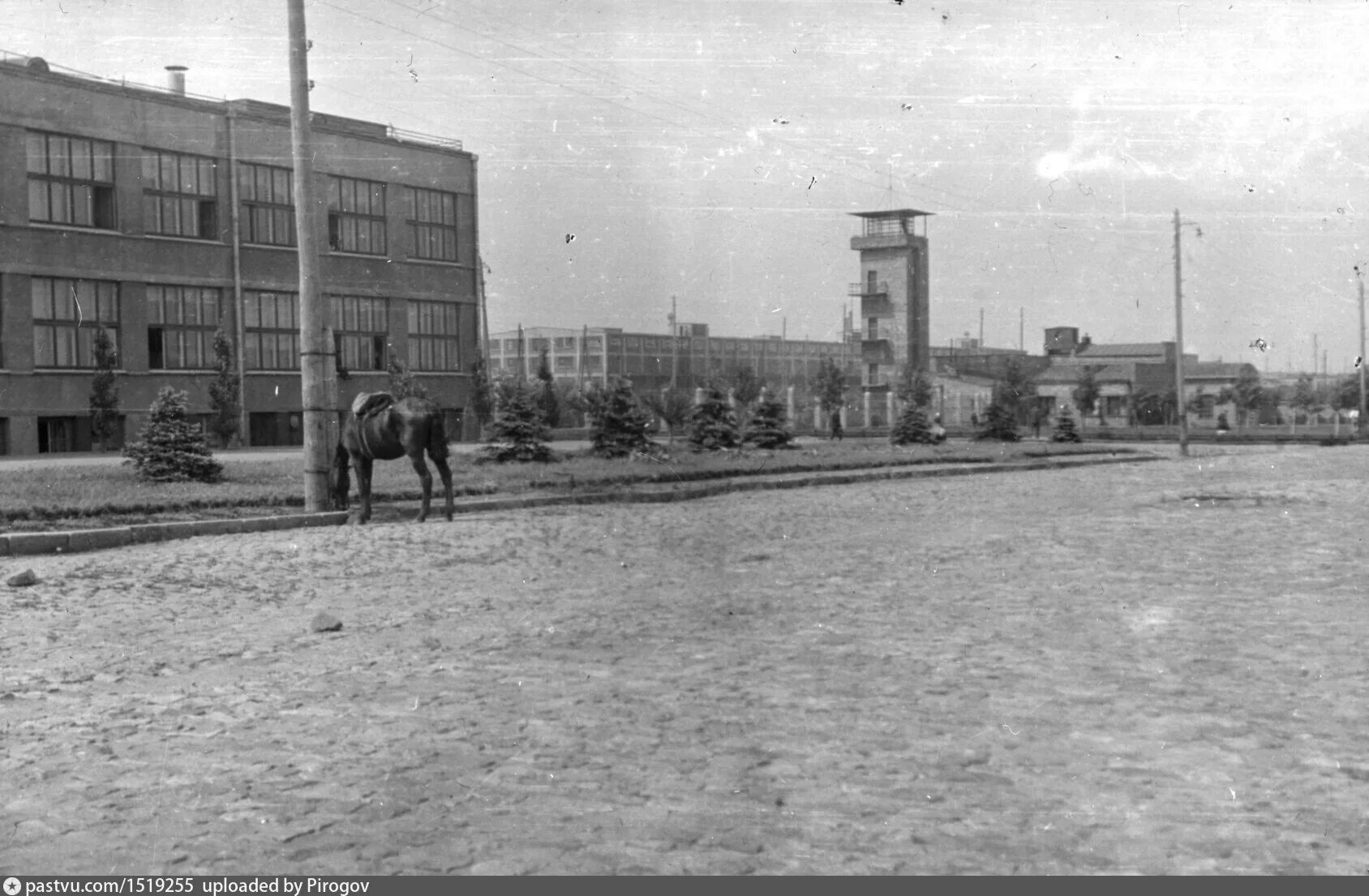 1956 год в россии. Россия 1956. 1956 Год Россия. Москва 1956 год. Видное 1956 год.