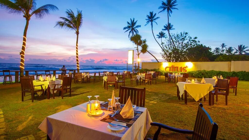 Цитрус хиккадува шри ланка. Citrus hikkaduwa 4 шри-ланка. Citrus hikkaduwa шри ланка. Citrus 4* хиккадува. Отель citrus шри-ланка.