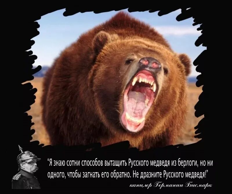 Перестаньте дразнить