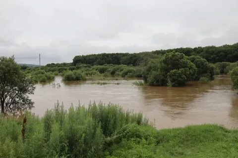 Река раздольная