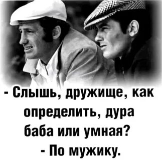 Я поняла ты дура