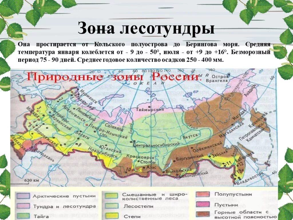 Географическое положение лесотундры в России на карте. Тундра и лесотундра географическое положение в России на карте. Зона лесотундры на карте России. Зона лесотундры на карте. Зона тундры расположена между зоной и зоной