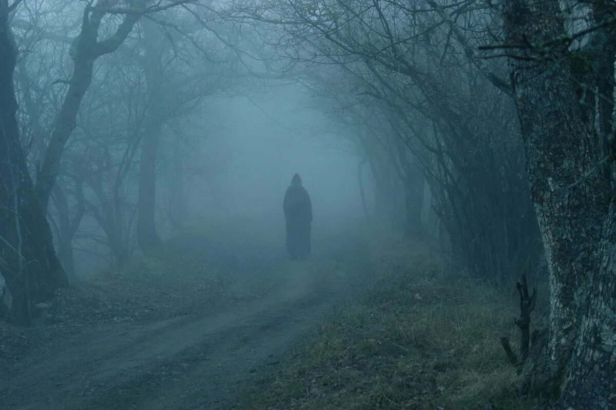 Мистика. Мрачный пейзаж. Страшный лес. Человек в темном лесу. Страшный туман.