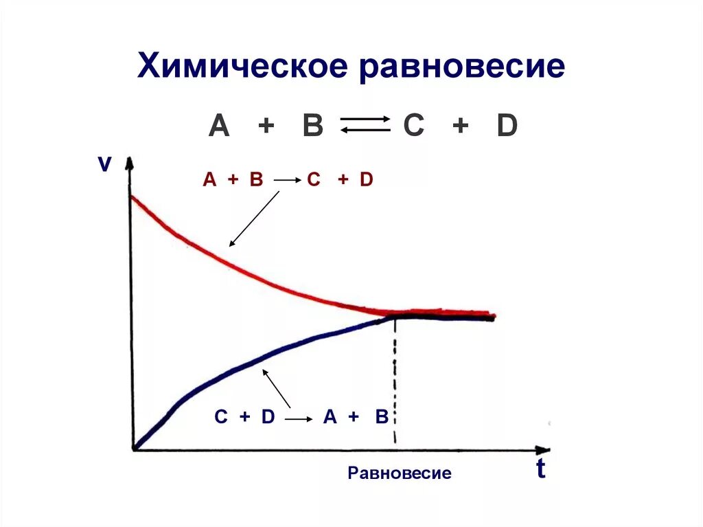 Прямая состояний равновесия. Химическое равеовеси. Равновесие химических реакций. Равновесные реакции. Динамическое равновесие в химии.