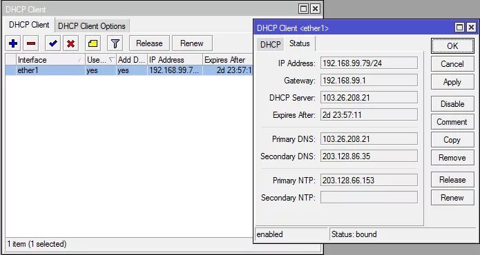 Dhcp клиент dns. Микротик настройка dhcp client. опции dhcp список. dhcp server ipv6 client mikrotik. dhcp options.