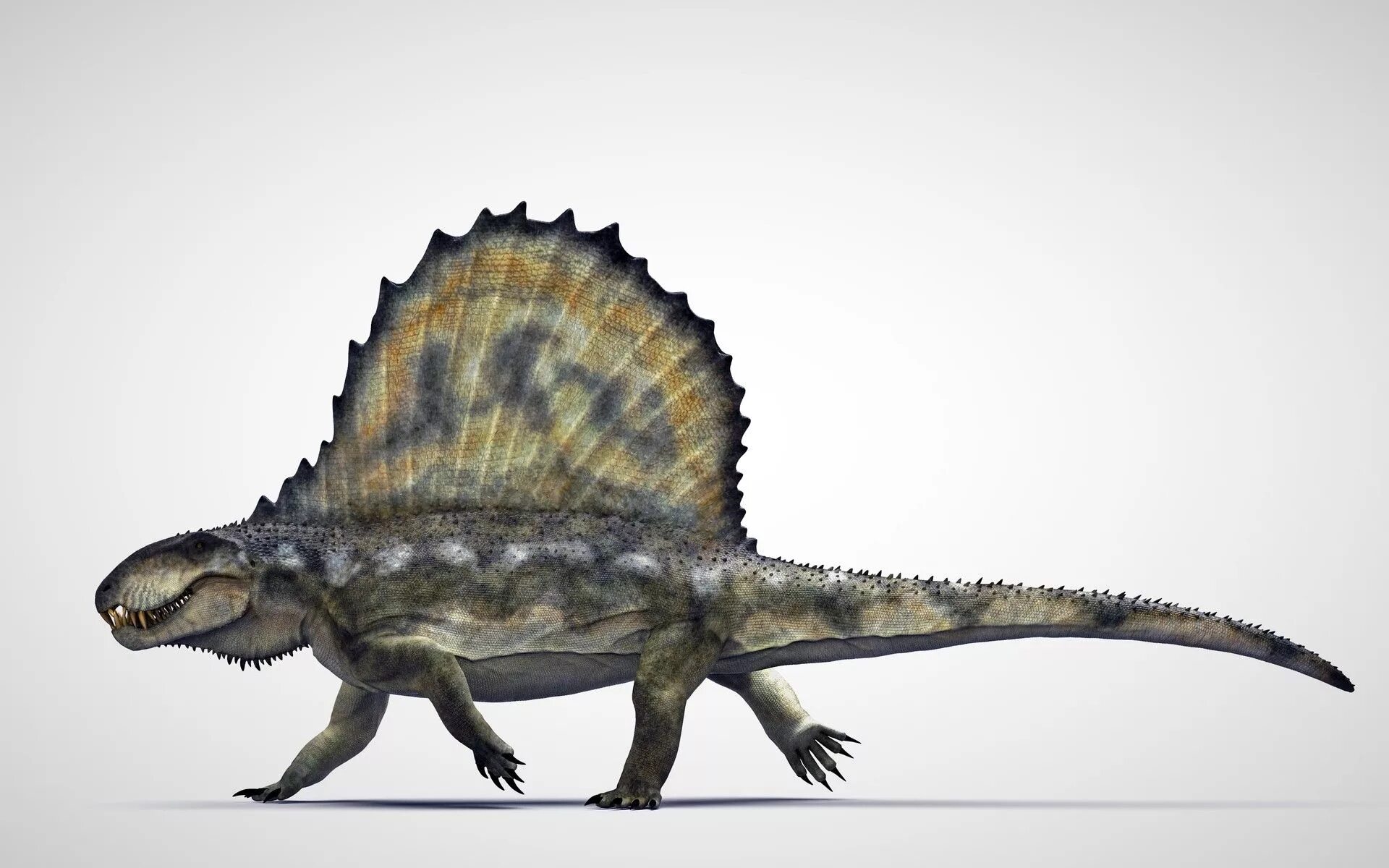 Why did a prehistoric reptile