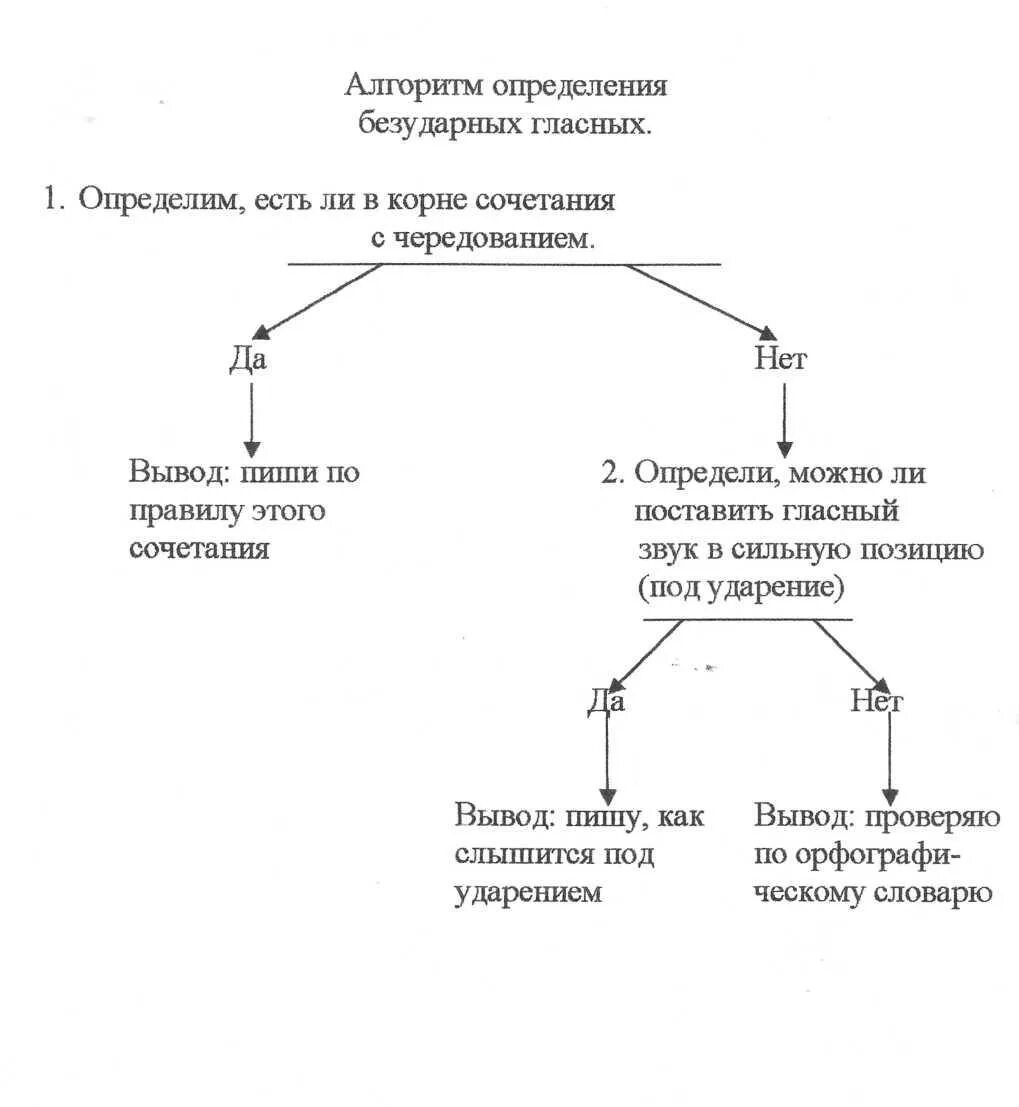 Урок алгоритмы 6 класс. Алгоритмы на уроках русского языка. Виды алгоритмов на уроках русского языка. Алгоритмы на уроках русского языка в 4 классе. Алгоритм занятия по русскому языку.