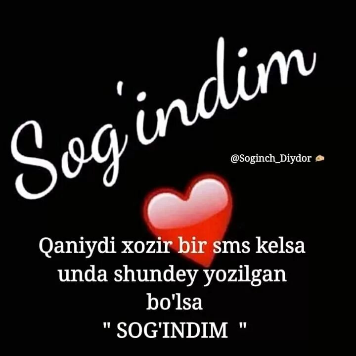 Маноли шерлар севги хакида. Статус шерлар. Севги хакида шерлар. Хакида шеърлар. Sherlar севги.