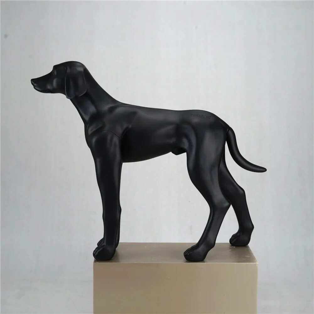 Дамми для собак. Манекен собака для демонстрации одежда. Манекен собаки. Манекен собаки для ветеринарии. Манекен собака.