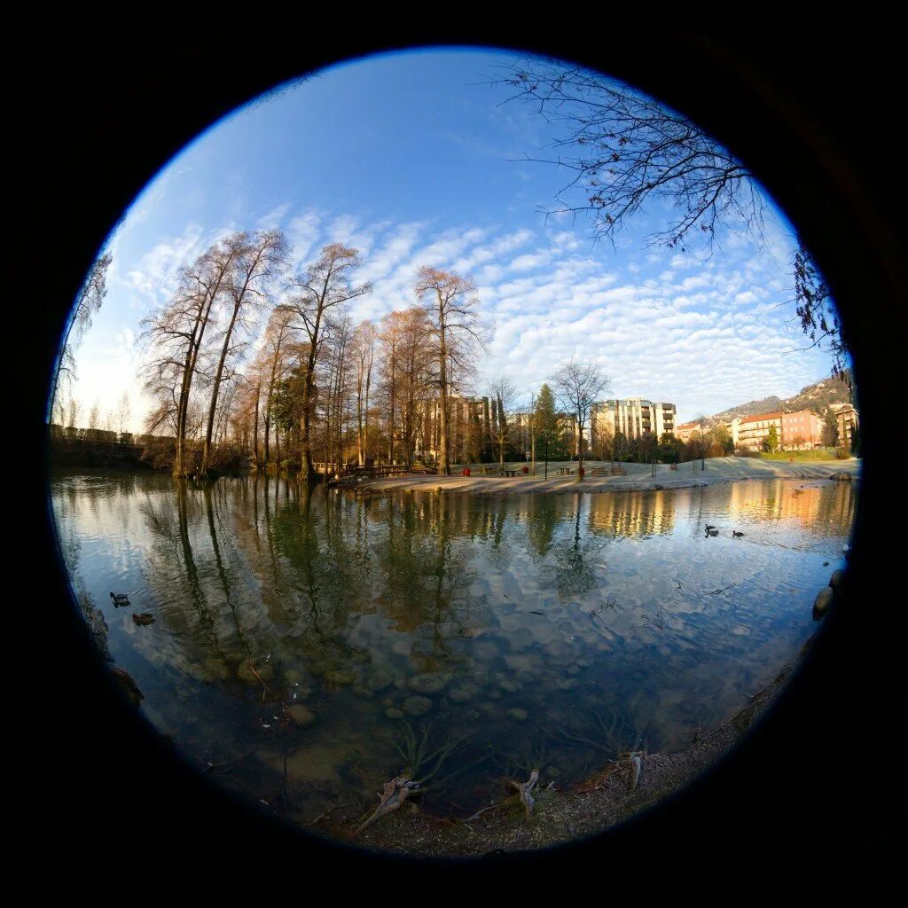 Fisheye дисторсия. Фишай объектив. Рыбий глаз объектив. Фотообъектив рыбий глаз.