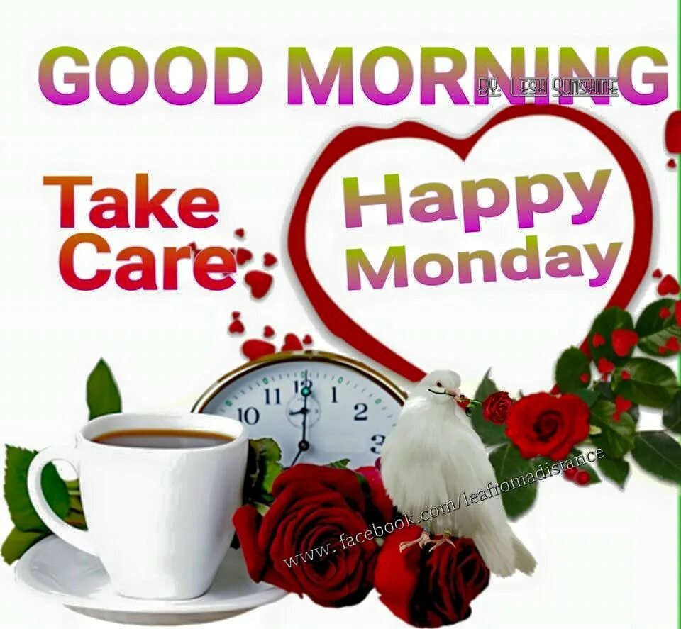 Доброе утро систер картинки. Good morning take care. Good morning take care. Monday. Good morning take care.
