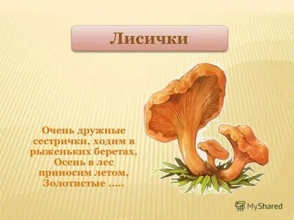 Какого цвета лисички русский язык 2 класс