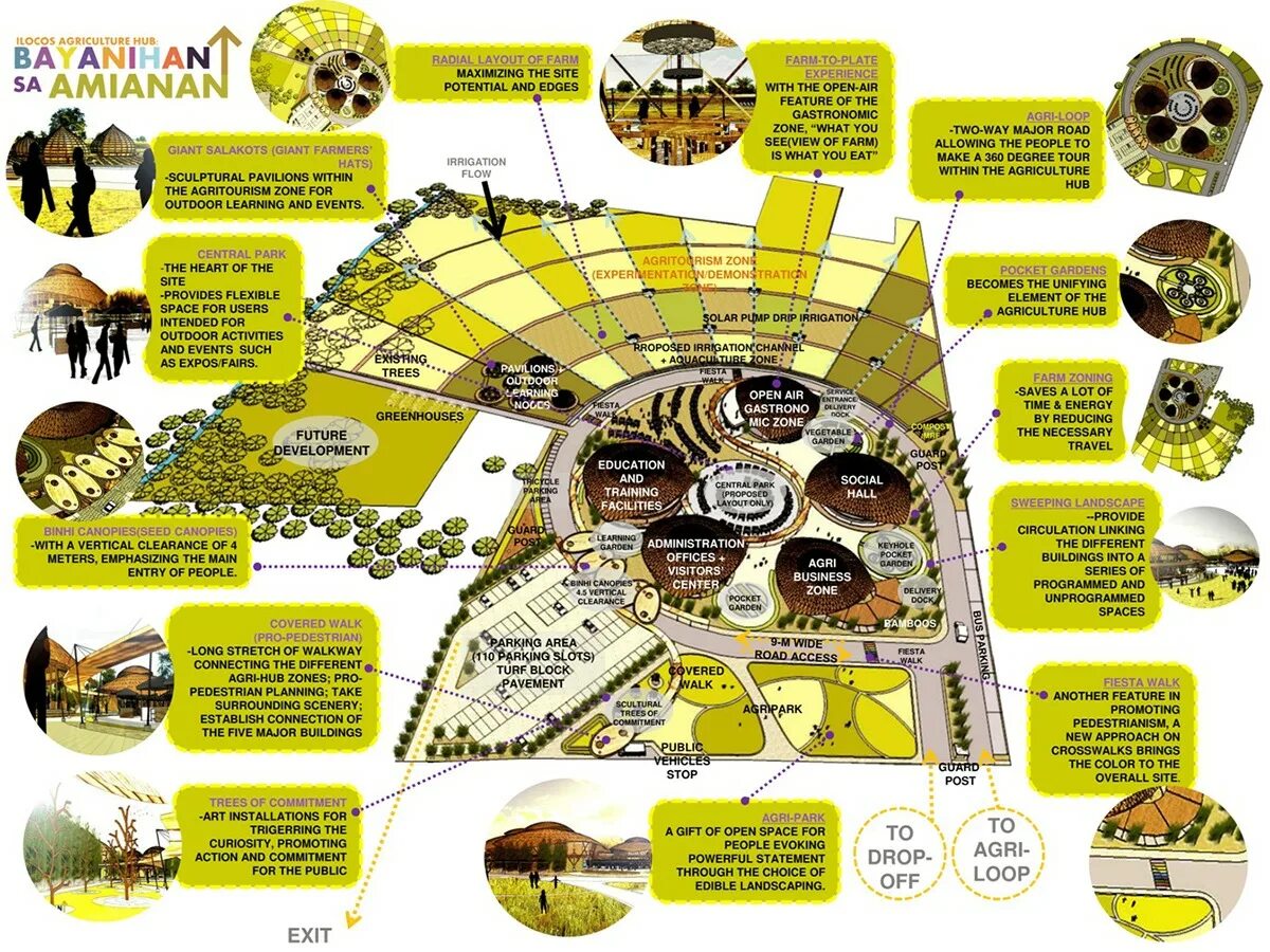 Thesis development. Thesis agricultural development.