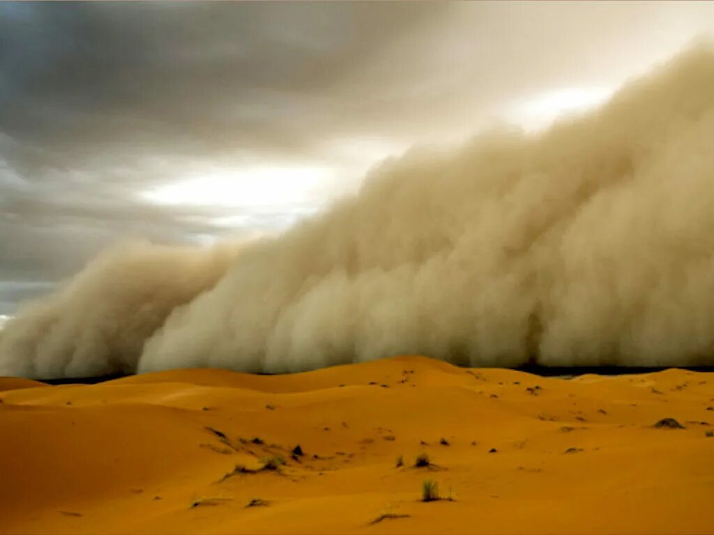 Wind calamity