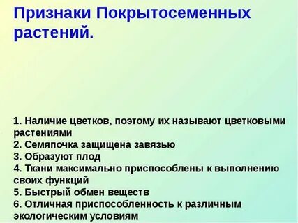 Как легкие приспособлены к выполнению своих функций