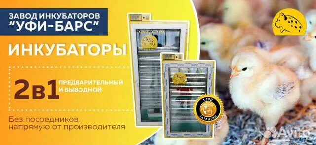 Уфи барс. Уфи барс