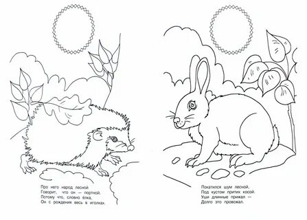 Книжка малышка раскраска