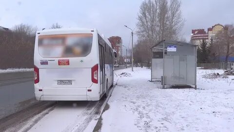Автобусы красный путь
