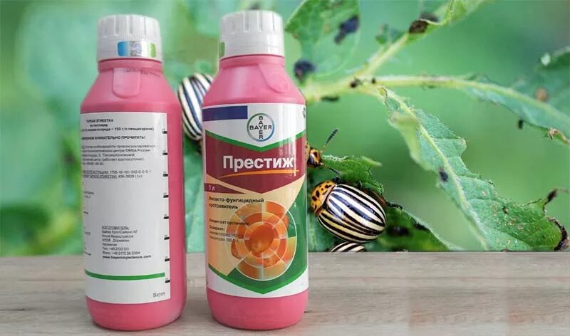 препарат престиж. препарат престиж. протравитель престиж 150мл. престиж "bayer garden" кс для защиты картофеля 60мл производитель. престиж кс для картофеля от колорадского жука 60мл "bayer".