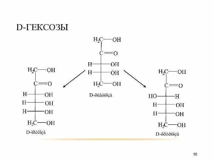 Гексозы с общей формулой. Строение гексоз. Моносахариды гексозы. Глюкоза гексоза. Гексоза это