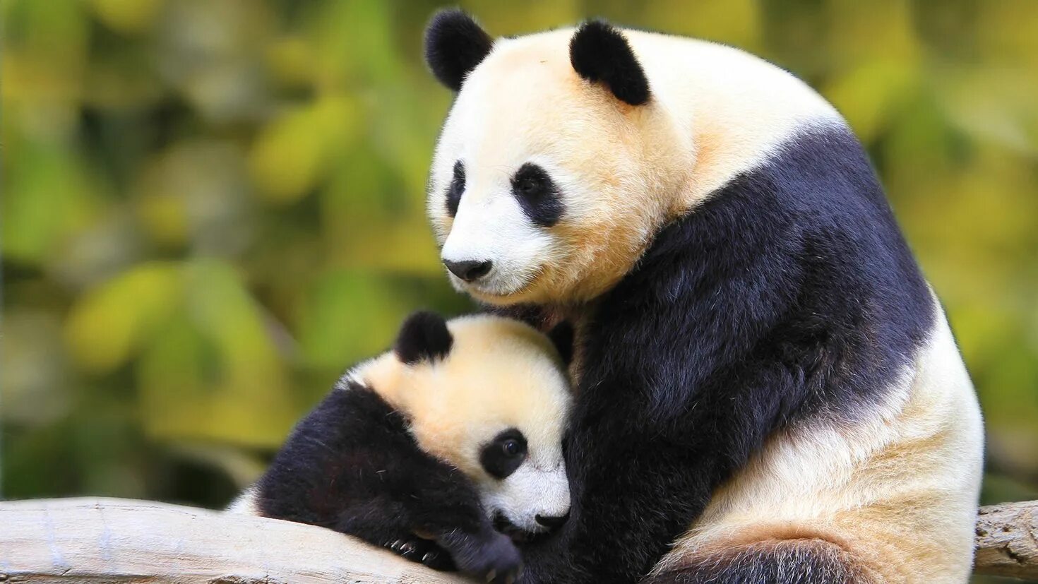 Pandas dependencies