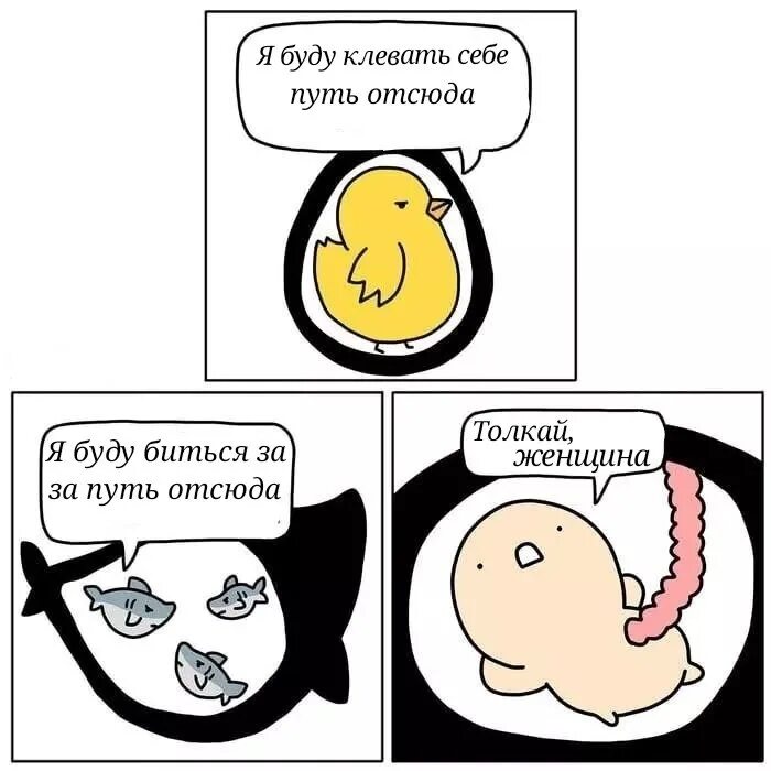 Пожелания счастливого пути. Домой картинки. Добро пожаловать отсюда мем. Камень на перекрестке дорог из сказки. Красивая дорога.