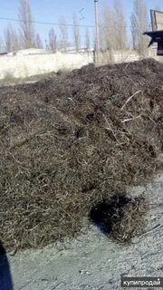 Камки